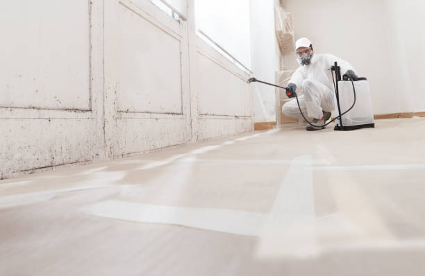 24/7 Emergency Mold Remediation experts in Warminster, PA