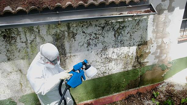 Top rated local Mold Remediation specialists in Warminster, PA